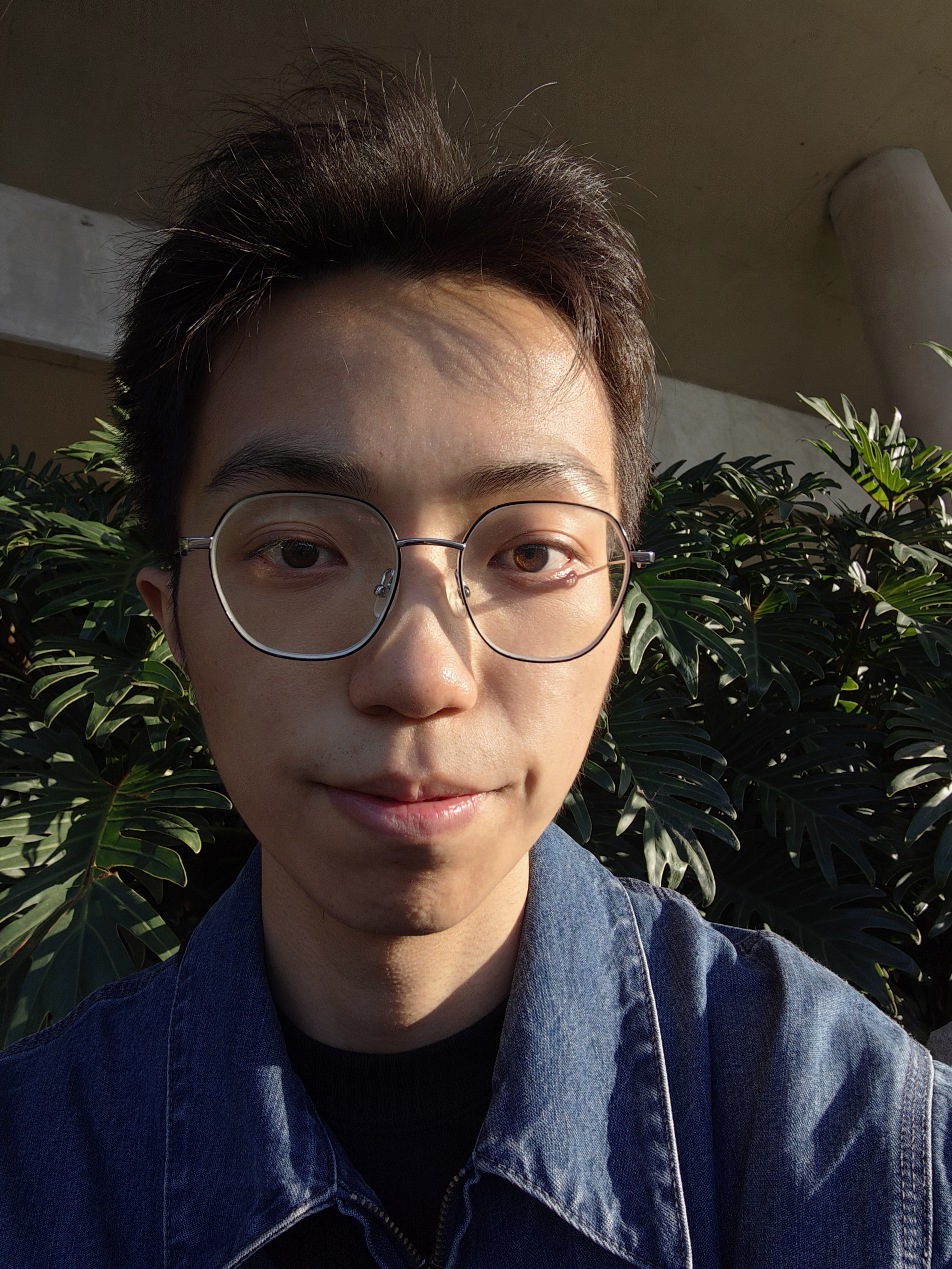 杨一帆的头像
